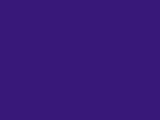 Pro Violet Color Chip